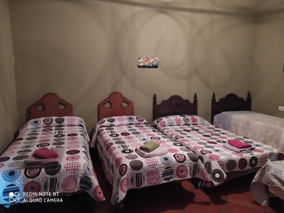 Casa Rural La Noria Los Palacios Y Villafranca Extérieur photo
