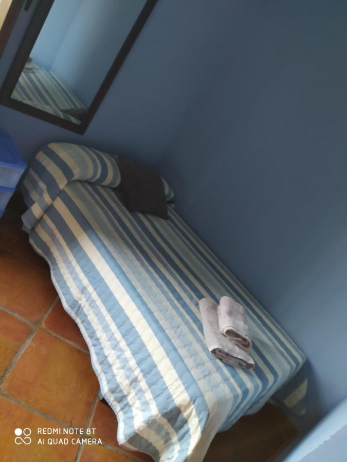 Casa Rural La Noria Los Palacios Y Villafranca Extérieur photo